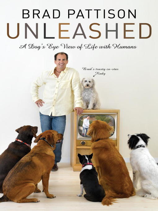 Title details for Brad Pattison Unleashed by Brad Pattison - Available